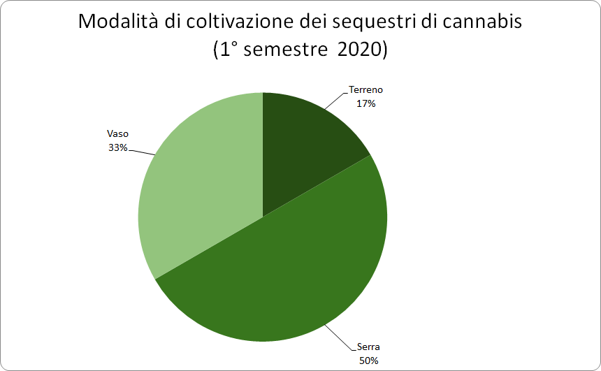 3_modalita_di_coltivazione_dei_sequestri_di_cannabis_1deg_semestre_2020